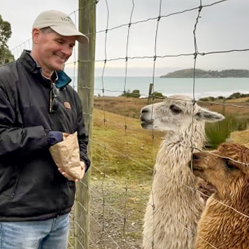 David Holland Feeding Alpacas